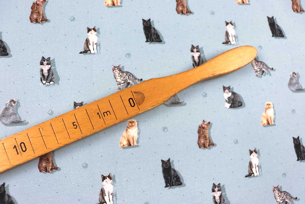 Schöne Baumwoll-Popeline mit realistischem Katzen-Print - ideal für alle, die die Samtpfoten lieben! Co6878 Baumwollstoff Katzen Hellblau S4 Baumwolle Tiere Baumwoll-Popeline - Katinka