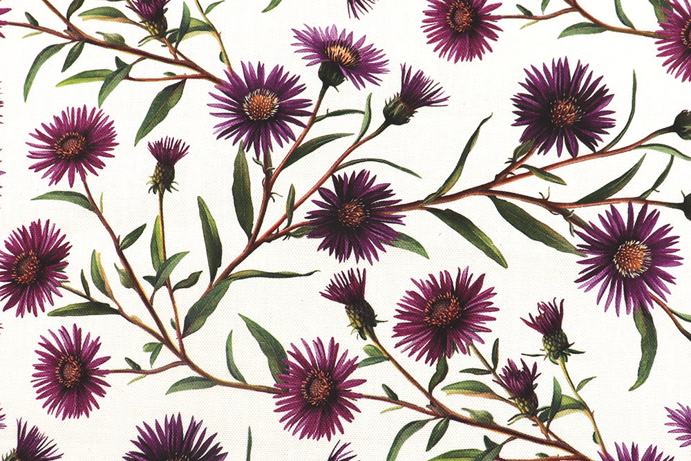 Fühlen Sie sich wie auf einer Blumenwiese mit diesem robusten, farbintensiven Dekostoff Ds4092 Dekostoff Astern S4 Digital-Drucke Dekostoff Premium - Astern