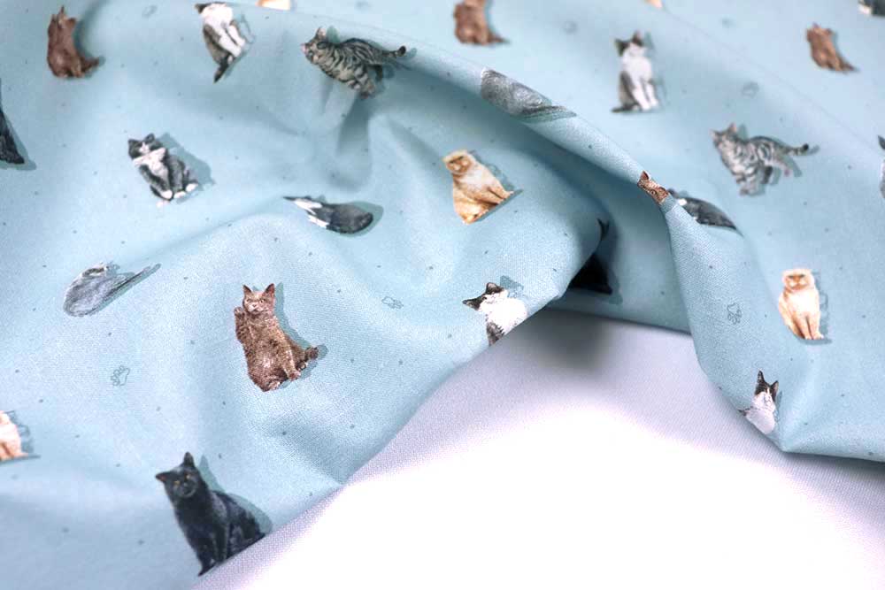 Schöne Baumwoll-Popeline mit realistischem Katzen-Print - ideal für alle, die die Samtpfoten lieben! Co6878 Baumwollstoff Katzen Hellblau S4 Baumwolle Tiere Baumwoll-Popeline - Katinka