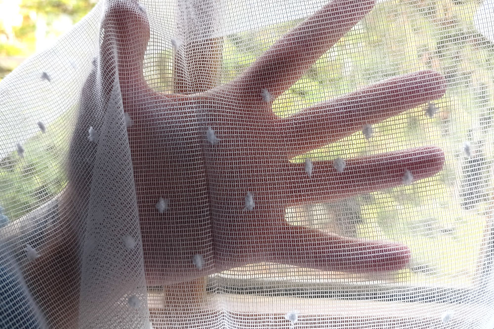 180 cm breiter Netz-Gardinenstoff mit eingearbeiteten Stoffkügelchen - Made in Germany! Gs5141 Gardinenstoff Transparent Moskitonetz Hand Gardinen transparent Gardinenstoff transparent - Schnee - Bleiband