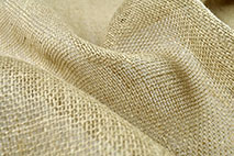 Jute